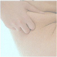 ����ɂႭ��H�ׂă_�C�G�b�g